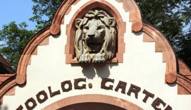 Zoo Leipzig tötet alle Krauskopfpelikane wegen Vogelgrippe