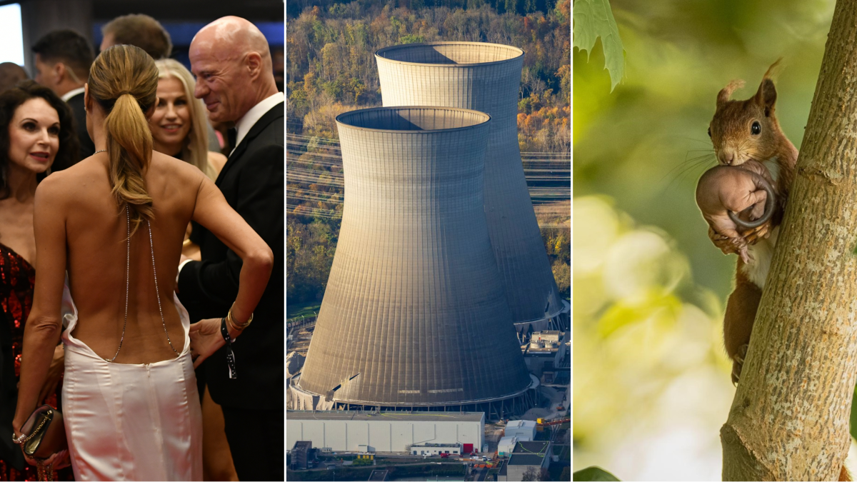 Unsere meistgelesenen Themen im Jahr 2025