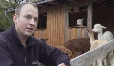 Nach der Diagnose zählt für Patrick nur eins, er kündigt dafür seinen gut bezahlten Job
