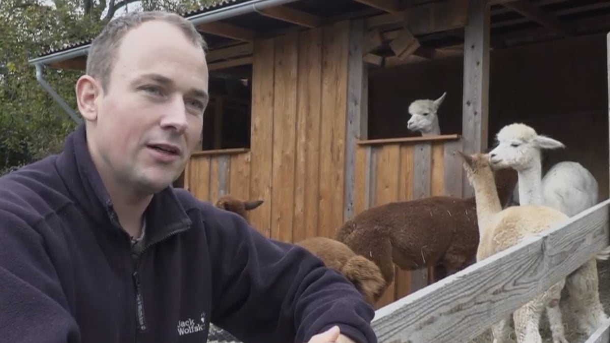 Nach der Diagnose zählt für Patrick nur eins, er kündigt dafür seinen gut bezahlten Job