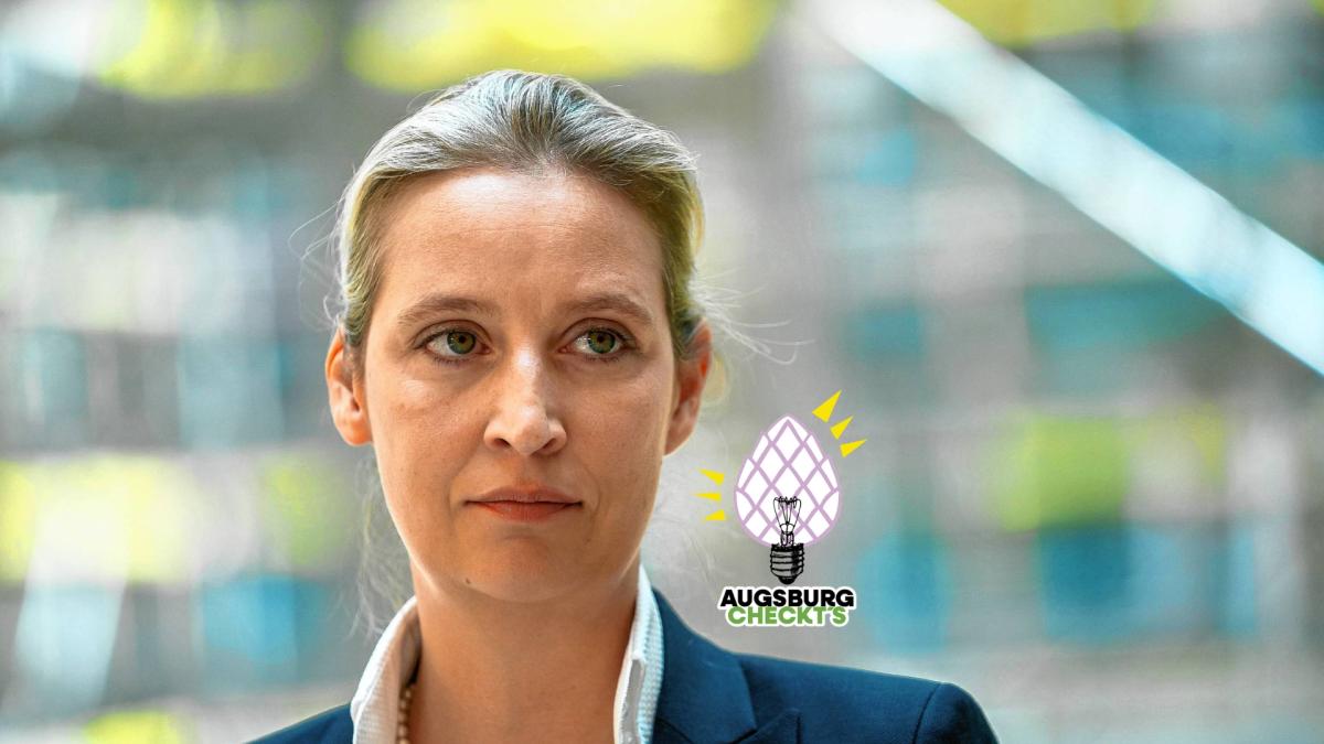 Dialog zwischen Weidel und Pistorius bei Maischberger erfunden