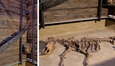 Was über Münchens ältestes Gebäude bekannt ist