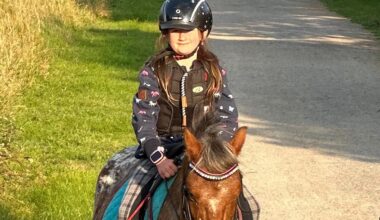 Gift-Anschlag in Mülheim an der Ruhr: Ponys vergiftet und gestorben | Regional