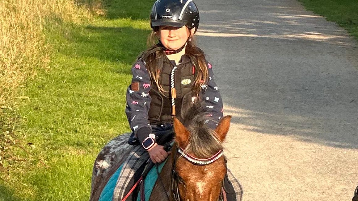 Gift-Anschlag in Mülheim an der Ruhr: Ponys vergiftet und gestorben | Regional