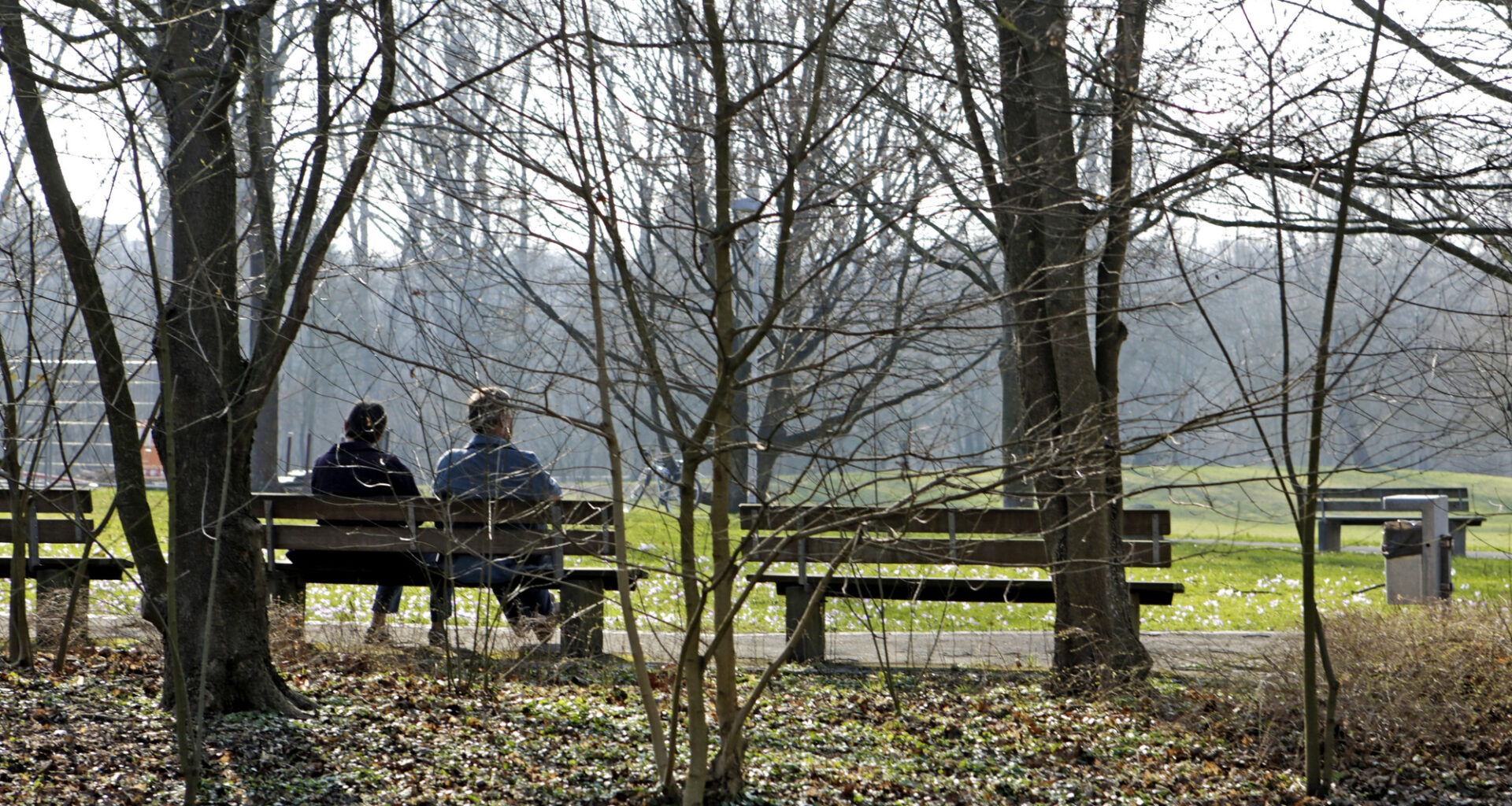 Falschaussage nach Streit an Parkbank in Kernen? Freispruch für 56-Jährigen - Nachrichten aus Waiblingen