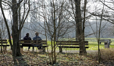 Falschaussage nach Streit an Parkbank in Kernen? Freispruch für 56-Jährigen - Nachrichten aus Waiblingen