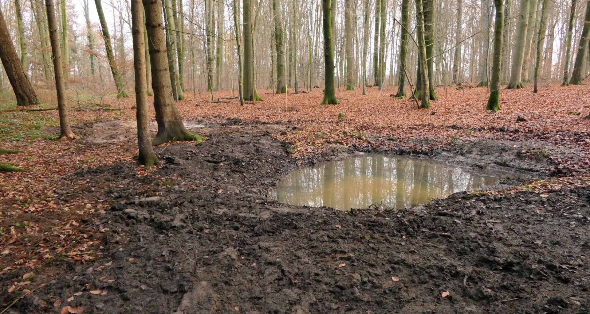 Frauke Lippert Volontärin Waiblingen Profilbild Auorenbild Köpfle