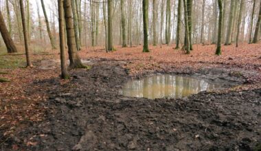 Frauke Lippert Volontärin Waiblingen Profilbild Auorenbild Köpfle