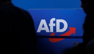 Umfrage: Mehrheit rechnet mit einem AfD-Ministerpräsidenten - Nachrichten aus Deutschland