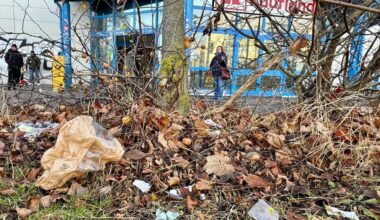 Müll vor dem Haupteingang: Offensichtlich ist im Grünstreifen vor dem Südstadtcenter in Halle schon länger nicht mehr Ordnung gemacht worden.