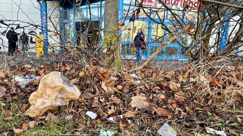 Müll vor dem Haupteingang: Offensichtlich ist im Grünstreifen vor dem Südstadtcenter in Halle schon länger nicht mehr Ordnung gemacht worden.