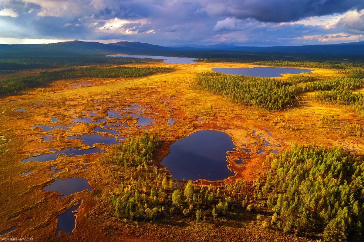 Blau, Blase, Badewanne: Die Bilder der Woche 51