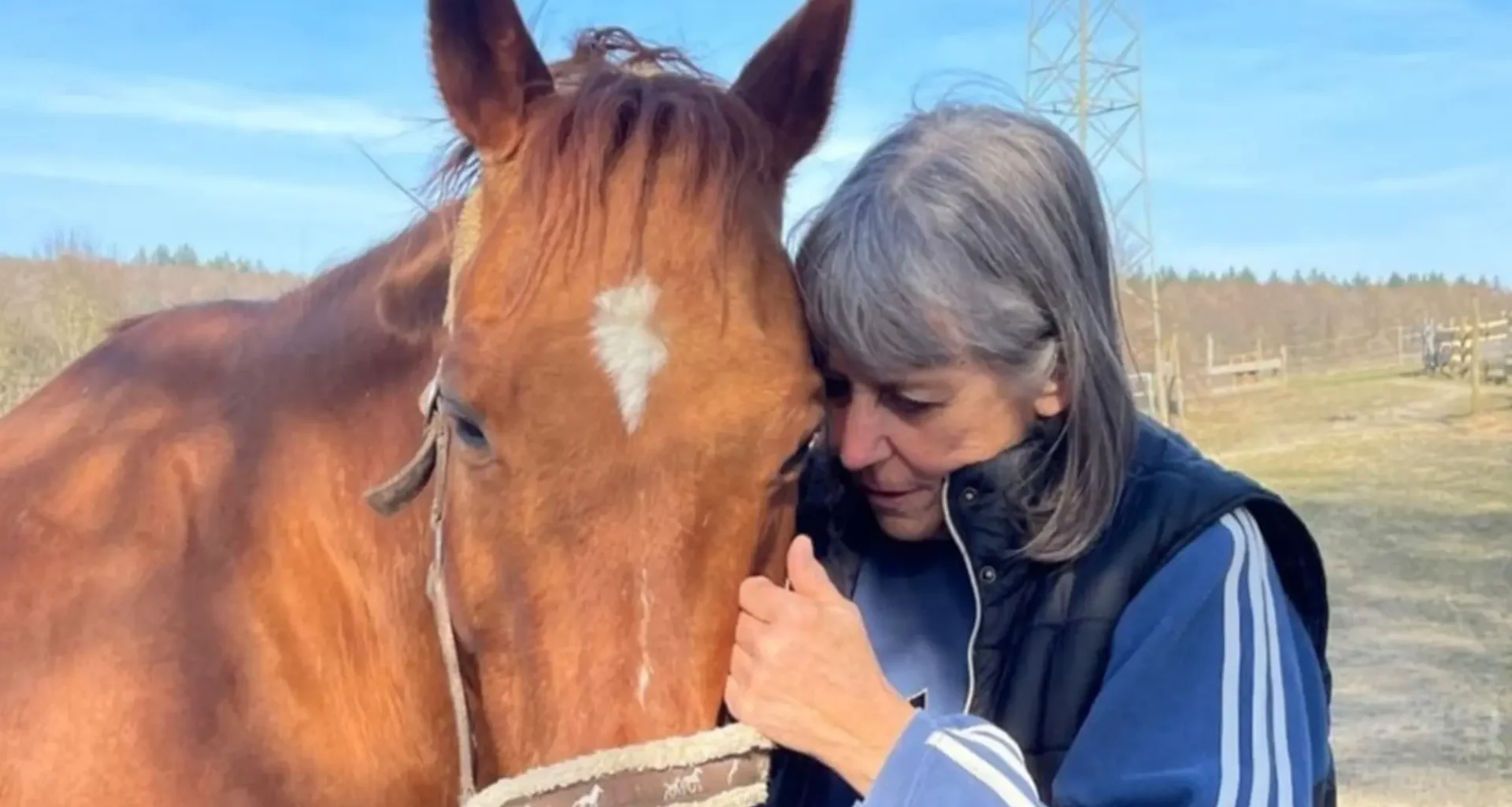Feiertage auf dem Tierschutzhof in Pfinztal-Berghausen