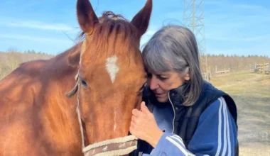 Feiertage auf dem Tierschutzhof in Pfinztal-Berghausen