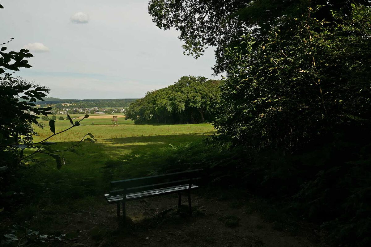 Zum Jahresausklang geht es traditionell durch den Eschweiler Stadtwald. Foto Barbara Bailly-Kaminski - 