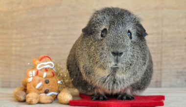 Tierisch unschöne Weihnachten - Filmpost Nachrichten aus Eschweiler