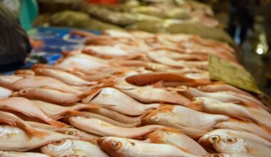 Verzehr von Produkten kann ihr Leben in Gefahr bringen