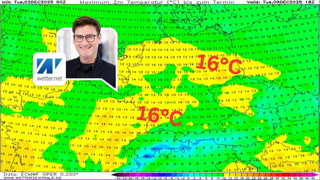 Die Tageshöchstwerte am Dienstag (9. Dezember). 