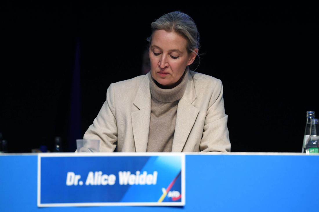 AfD-Vorsitzende Alice Weidel Gründung der AfD-Jugendorganisation in Gießen.