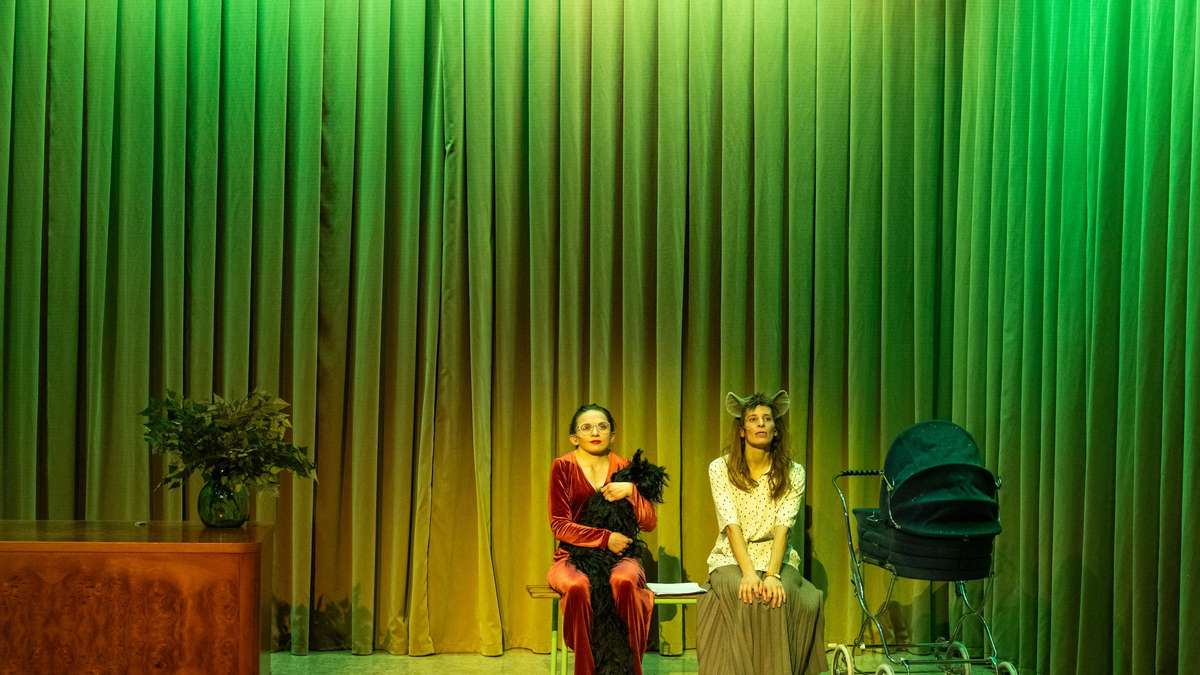 Hyänen-Tage in Hannover