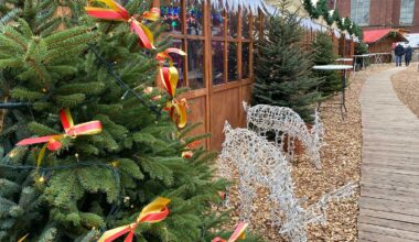 Tannenbäume und Holzschnitzel zu verschenken