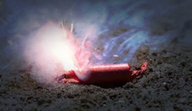 Nächtliche Böllerei versetzt Anwohner in Angst und Schrecken