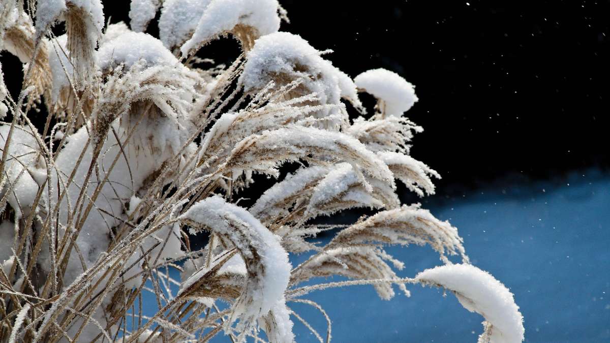 Bis zu 20 cm Neuschnee – Weiße Silvester in diesen acht Bundesländern möglich