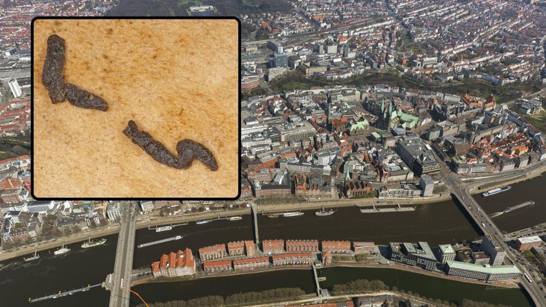Mäusekot. Im Hintergrund ein Luftbild von Bremen