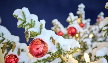 5 Regionen in Deutschland können auf Schnee hoffen