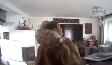 Krippenfigur sorgt für Polizeieinsatz in Bayern