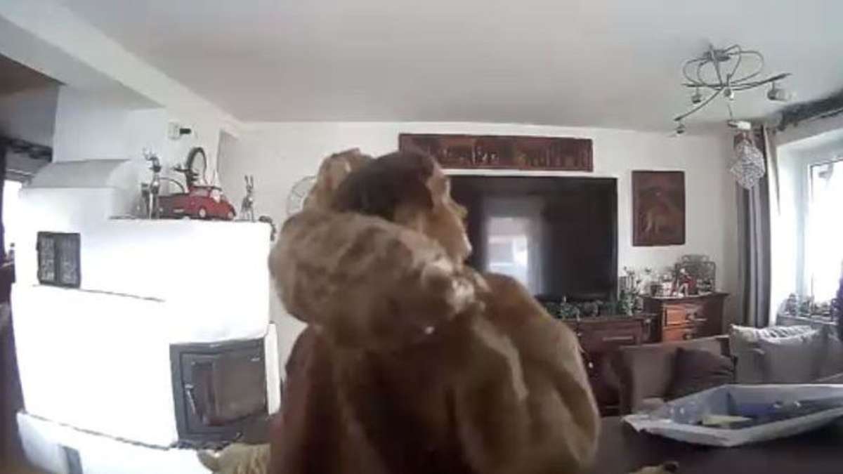 Krippenfigur sorgt für Polizeieinsatz in Bayern