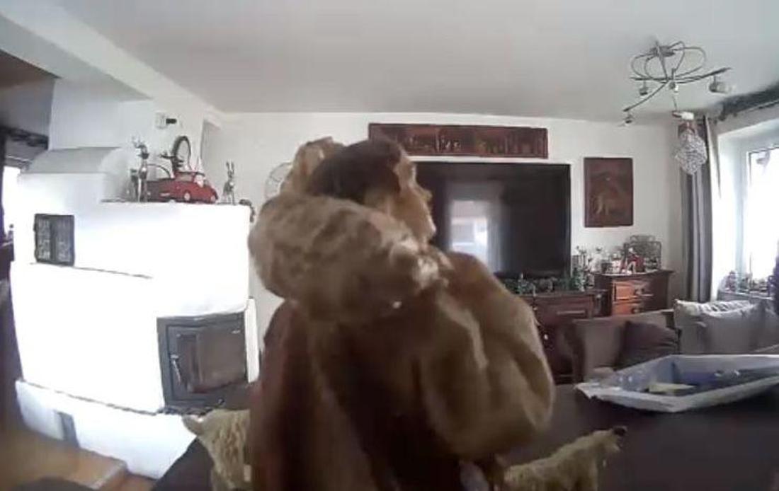 Die verdächtige Person im Haus entpuppte sich als Holz-Hirte mit Schaf.