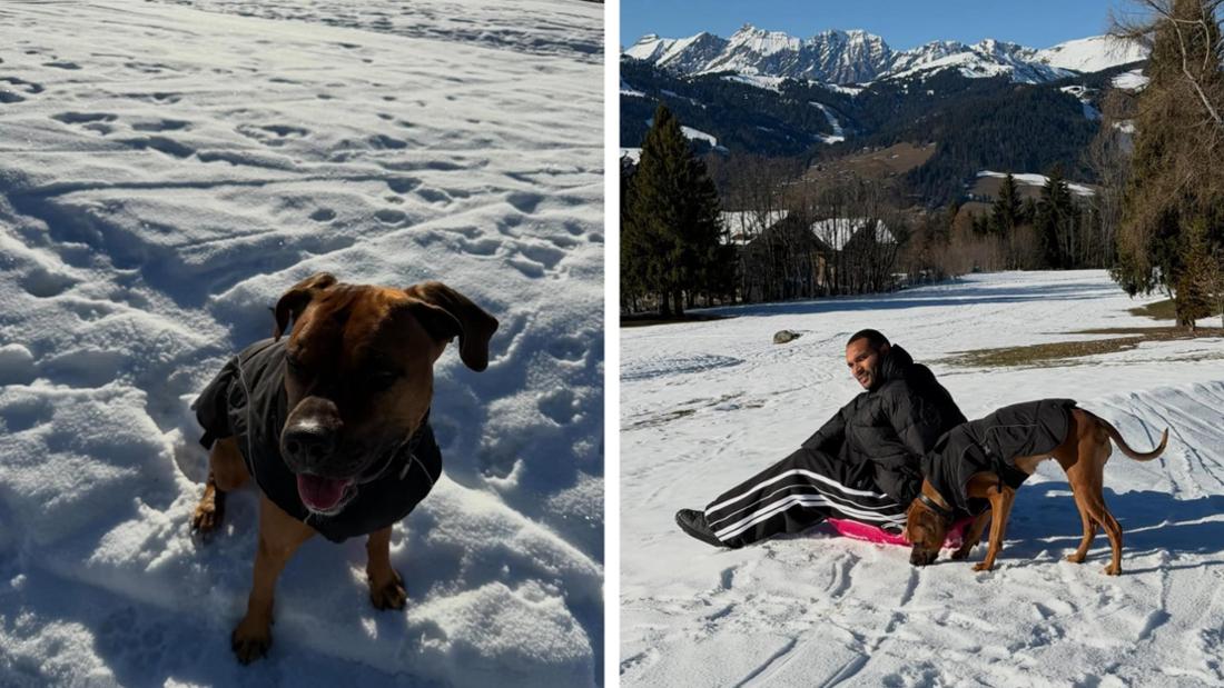 Tah im Schnee mit Hund.