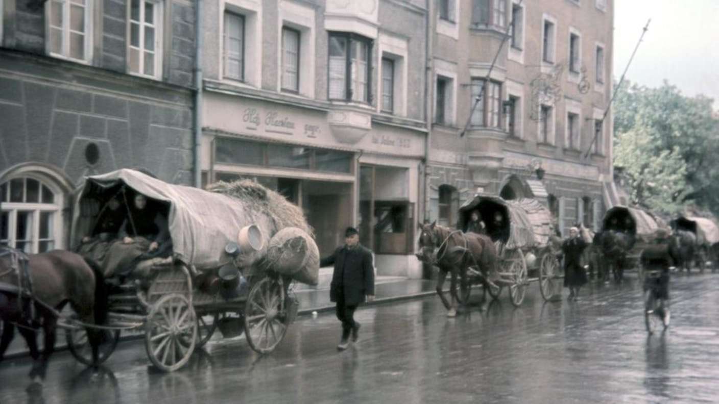 AS Donauschwaben: Über 1000 Kilometer mit dem Pferdewagen von der Batschka nach Bayern. Etwa 250.000 Donauschwaben wurden aus Ungarn nach Deutschland vertrieben