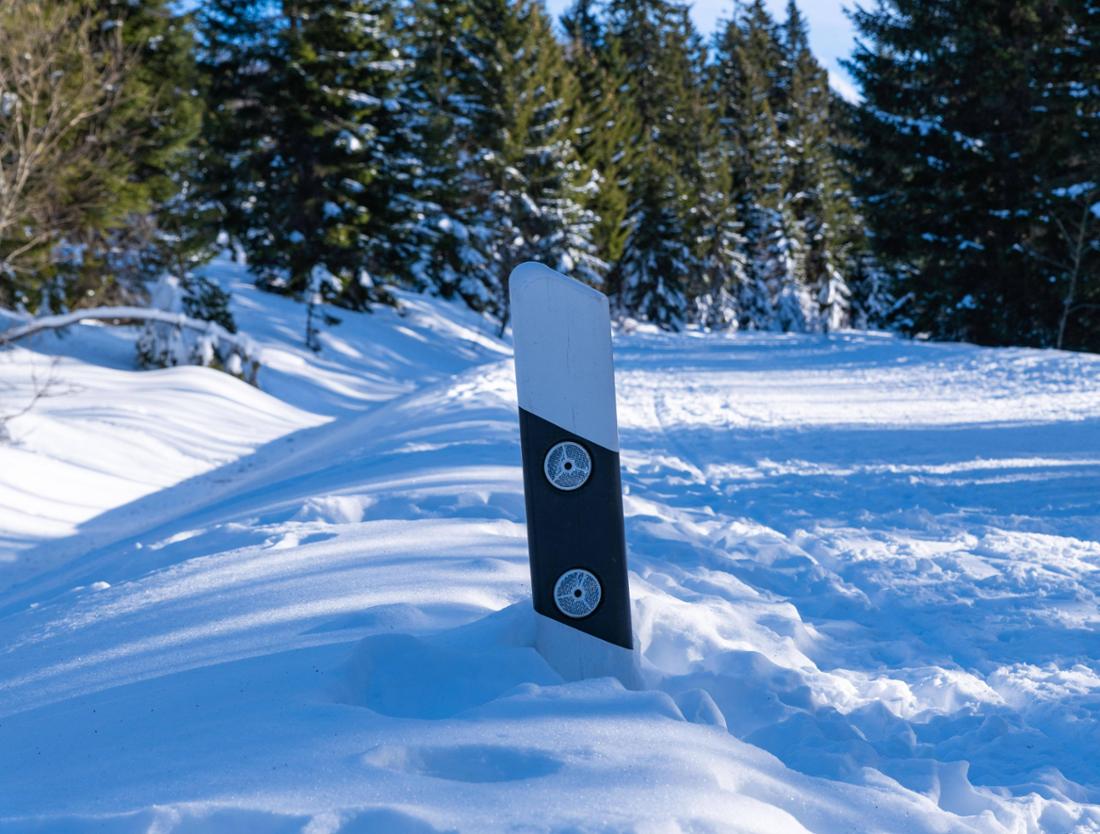 Schneebedeckte Fichte im Bayerischen Wald