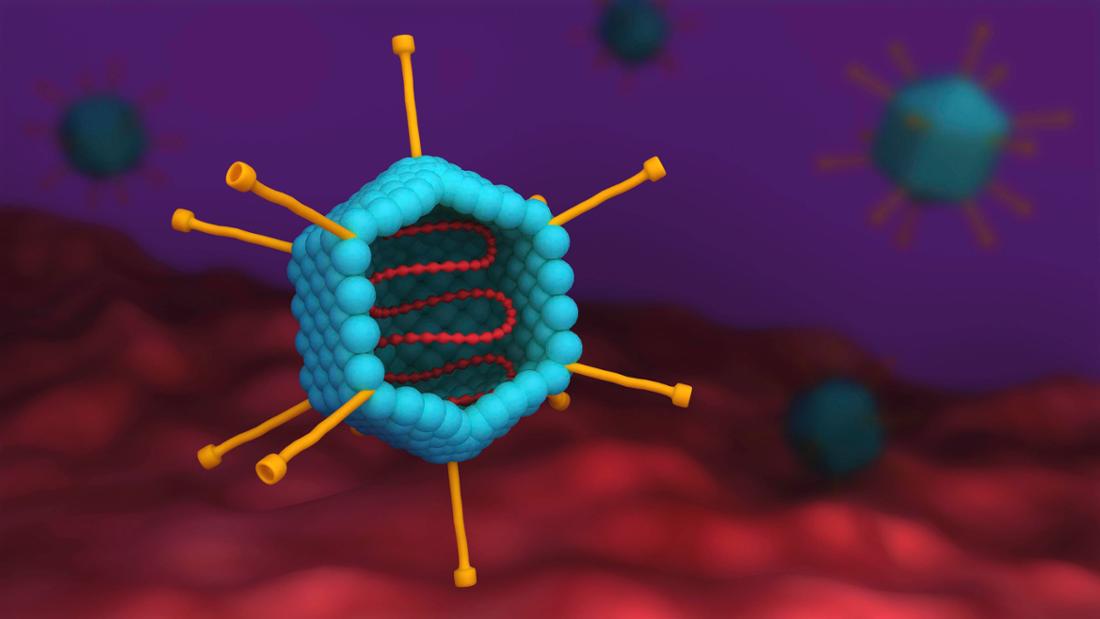 Humane Adenoviren können Atemwegserkrankungen, Bindehautentzündungen, Krupp, Bronchitis oder Lungenentzündungen verursachen.