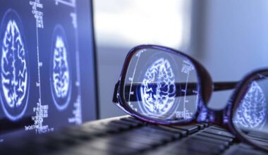 Spektakuläre Entdeckungen der Hirnforschung im Jahr 2025