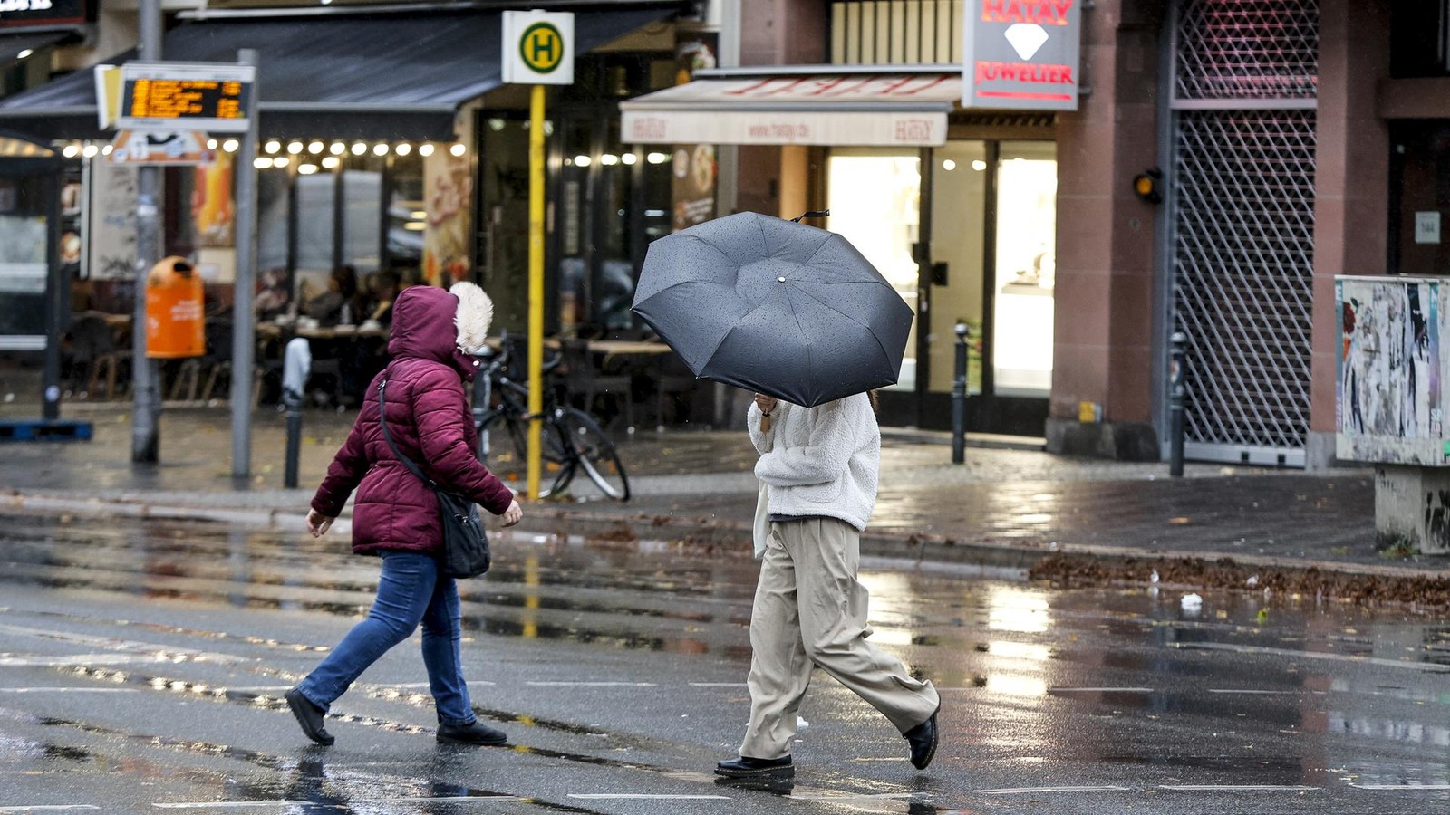 Frühlingshafte Temperaturen im Dezember, aber auch viel Regen