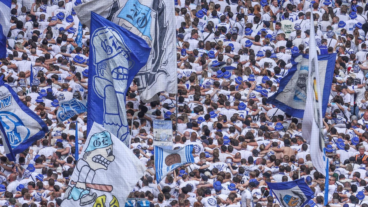 FC Schalke 04 - SV Elversberg 07