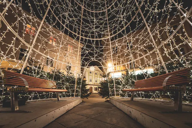 Titelbild Jänner 2026 | Foto: Robert Knapp