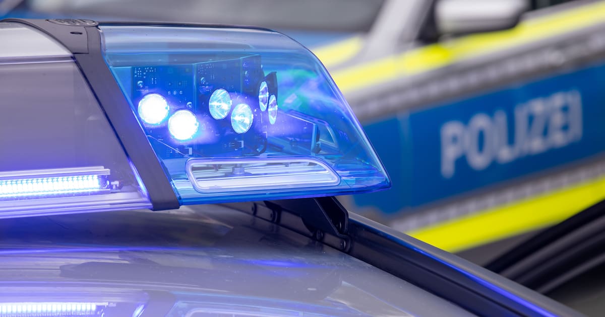 Vermummte zünden Mülltonnen in Leipzig-Connewitz an