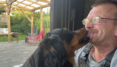 Mario nimmt Abschied von Coco (5)