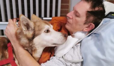 „Als ich im Krankenhaus war, schläferten sie meinen Hund ein“ | Regional