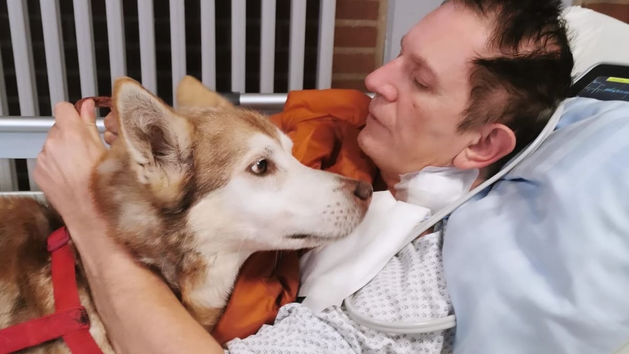 „Als ich im Krankenhaus war, schläferten sie meinen Hund ein“ | Regional