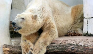 Obduktion klärt Todesursache im Karlsruher Zoo