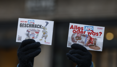 Aktivisten demonstrieren in Augsburg gegen Verbindung zur AfD