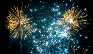 Silvester - Nächtliche Feuerwerksdiebe in Wiesbaden aktiv - Panorama