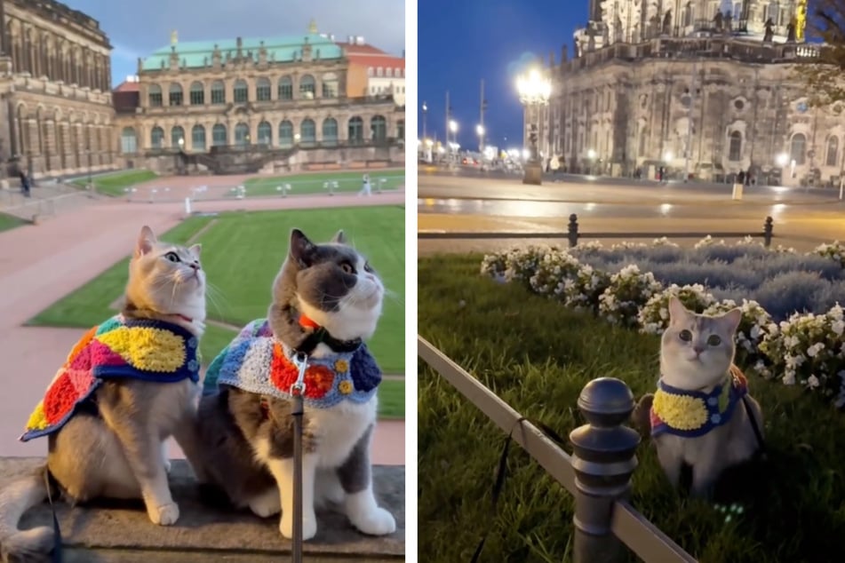 Louie und Todd erkundeten die barocken Sehenswürdigkeiten Dresdens.