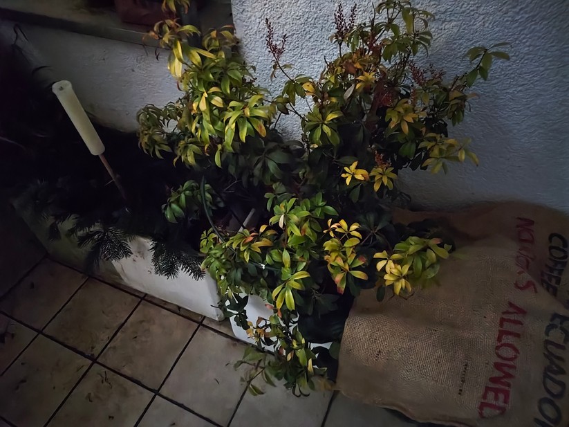 Poco F8 Pro - Originalaufnahmen 