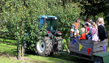Premiere in der Ried & Pop-Art auf Ewald
